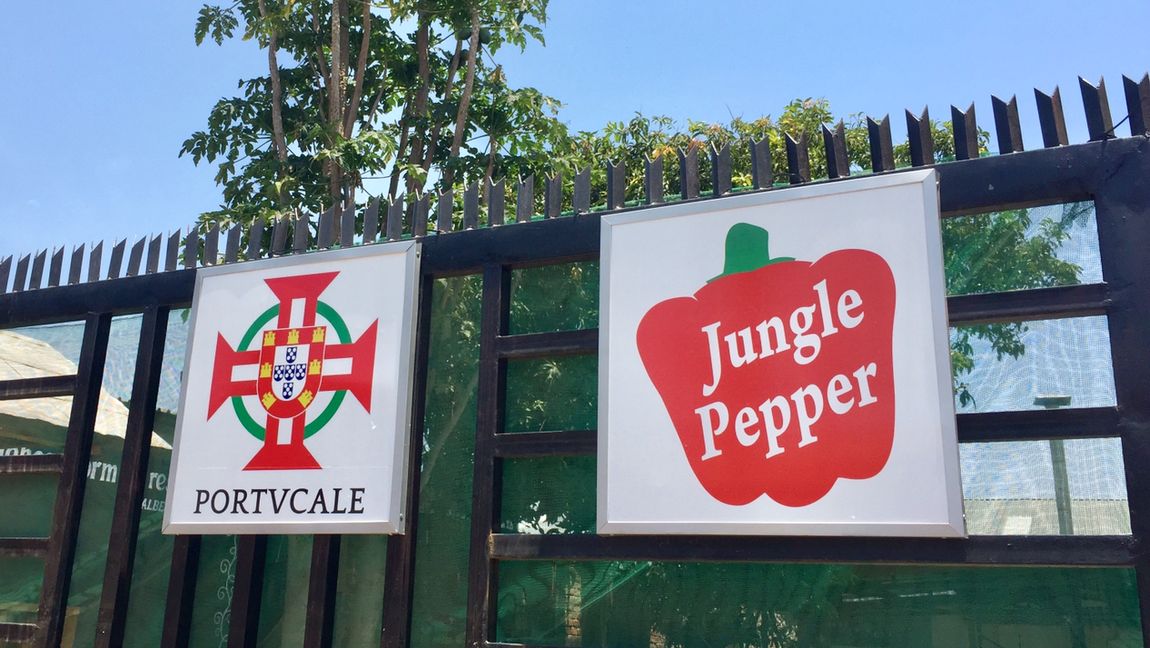 Jungle Pepper and Portucale signs at the gate